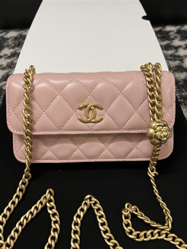 2026131221857319 290